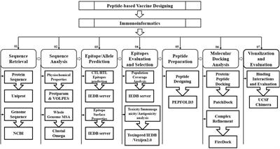 Determine the Potential Epitope Based Peptide Vaccine Against Novel SARS-CoV-2 Targeting Structural Proteins Using Immunoinformatics Approaches